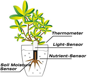 WANFEI Plant Monitor Soil Test Kit,Flower Care Soil Tester Smart Plant Tracker Intelligent Sensor Plants Detector Bluetooth Monitor for Light Moisture Fertility Temperature Level for iOS and Android