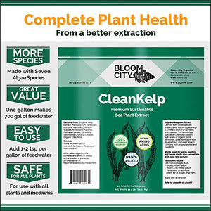 Organic Liquid Seaweed and Kelp Fertilizer Supplement by Bloom City, Quart (32 oz) Concentrated Makes 180 Gallons