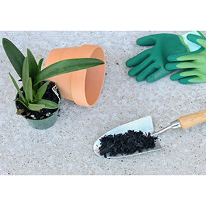 Horticultural Charcoal for Indoor Plants (2 Quarts), Hardwood Soil Additive for Orchids, Terrariums, and Gardening