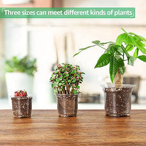 36 Packs 5/4/3.5 Inch Reinforced Clear Nursery Pots with Drainage Hole, Transparent Variety Pack Plastic Plant Pot Seedling Planter Seed Starter Flower 20pcs Labels