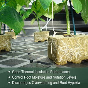 SKINNYBUNNY Rockwool Cubes 1.5 inch, Rock Wool Planting Cubes with Holes, Rockwool Cubes for Hydroponics, Perfect for Soilless Culture and Transplanting, 2 Sheets of 98 Cubes