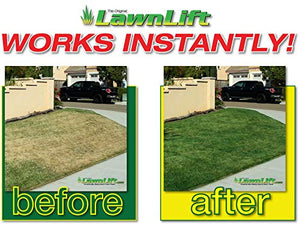 LawnLift Grass Painting Kit- Includes Professional 1 Gallon Sprayer & 64oz. (Gren) Ultra Concentrated Grass Paint Bottle = up to 5 Gallons Usable Product & Covers *up to 2000 Sq Ft. *Coverage Depends