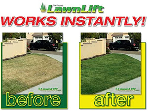LawnLift Ready to spray Lawn paint. No Mixing required. Covers up to 100 sq. feet.