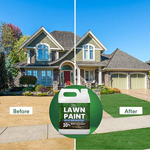 PetraTools Lawn Paint, Green Grass Lawn Spray Grass Paint For Lawn, Green Grass Spray For Lawn & Grass Spray Paint Grass Green, Green Dye for Lawn Spray on Grass (1 Gal)