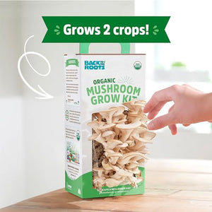 Back to the Roots Organic Mushroom Grow Kit 3-Pack: Oyster, Oyster & Pink-Harvest Gourmet Mushroom in Just 10 Days