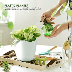 Utopia Home - Plant Pots with Drainage - 7/6.6/6/5.3/4.8 Inches Home Decor Flower Pots for Indoor Planter - Pack of 5 Plastic Planters , Cactus, Succulents Pot - White