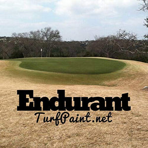 Endurant Turf Colorant – 1 Gallon Jug Revitalizes Approximately 5,000 Sq. Ft of Dormant, Drought-Stricken or Patchy Lawn
