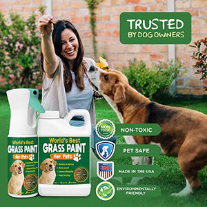 PetraTools Grass Paint for Pets, Ready-to-Use Green Grass Lawn Spray & Dog Spot Grass Repair & Grass Paint for Lawn, Lawn Paint Leak-Proof Bottle with 64oz Green Grass Spray for Lawn & Turf Paint