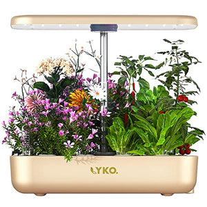 Hydroponics Growing System, LYKO 12 Pods Indoor Garden with LED Grow Lights, Plants Germination Kit, Height Adjustable 3.5L Water Tank, Herb Garden Kit Indoor for Home Kitchen - Gold