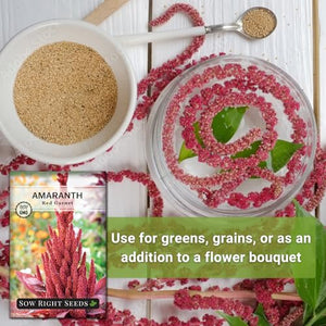 Sow Right Seeds - Red Garnet Amaranth Seeds for Planting - Non-GMO Heirloom Packet with Instructions to Plant & Grow an Outdoor Home Vegetable Garden - Colorful, Pretty & Unique - Makes a Great Gift