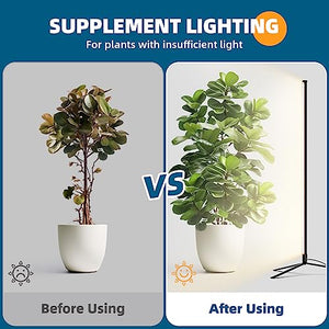 Barrina Grow Lights for Indoor Plants with Stand, 42W 169 LEDs Full Spectrum Wide Illumination Area, T10 Vertical Standing Plant Grow Light, 4FT Height with On/Off Switch and Tripod Floor Stand