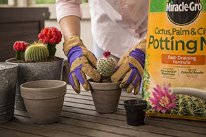 Miracle-Gro Cactus, Palm & Citrus Potting Mix 2-Pack