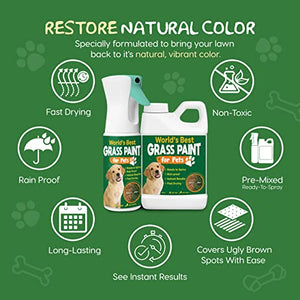PetraTools Grass Paint for Pets, Ready-to-Use Green Grass Lawn Spray & Dog Spot Grass Repair & Grass Paint for Lawn, Lawn Paint Leak-Proof Bottle with 64oz Green Grass Spray for Lawn & Turf Paint