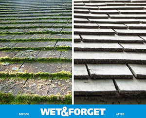 Wet & Forget Moss, Mold, Mildew, & Algae Stain Remover Multi-Surface Outdoor Cleaner Concentrate, Original, 64 Fluid Ounces