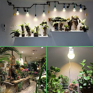 3 PACK Grow Light Bulb Indoor Grow Light,A19 Full Spectrum Plant Light bulb,E26 110V 9W Grow Bulb Replace up to 100W, Plant Light Bulb for Indoor Plants, Flowers, Greenhouse, Indore Garden, Hydroponic