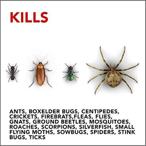 Raid Ant & Roach Barrier Spray, Keep Listed Bugs Out, For Indoor & Outdoor Use, Leaves No Odor, 22 oz