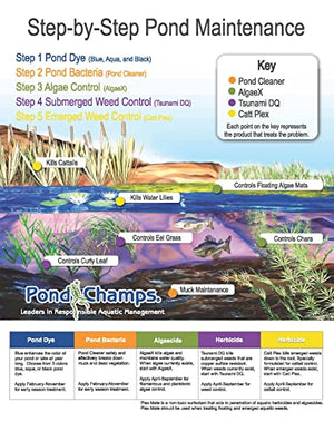 Blue Lake and Pond Dye - One Gallon of Professional Lake & Pond Dye - Treats Up to 1 Acre - Royal Blue Color - Safe for Fish, Wildlife, Pets & Children