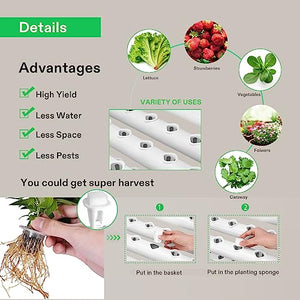 VIVOSUN Hydroponic Grow Kit, 54 Plant Sites 6 Food-Grade PVC-U Pipes Hydroponics Planting System with Water Pump, Pump Timer, Nest Basket and Sponge for Leafy Vegetable