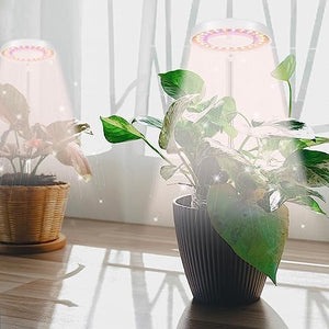 GooingTop LED Grow Light, Halo Plant Lamp for Indoor Plants Growing, White Low Light for Succulents Mini Small Plants Growth,Upgrade Timer 4/8/12/18 Hrs & Variable Spectrum