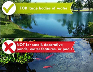 Blue Lake and Pond Dye - One Gallon of Professional Lake & Pond Dye - Treats Up to 1 Acre - Royal Blue Color - Safe for Fish, Wildlife, Pets & Children