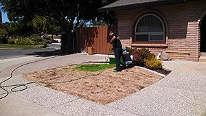 Green Canary Pre-Mixed Grass Colorant - 5 Gallons, Environmentally Safe, Natural Looking Turf, Green Grass Paint, Ready to Apply Grass Colorant, Made in USA