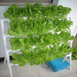HYDDNice Hydroponic Grow Kit 4 Layers 36 Plant Sites Garden Planting System Hydroponic Growing System Water Culture Garden Plant System Garden Vegetable Planting Tool
