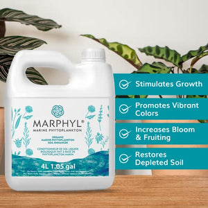 MARPHYL Organic Liquid Hydroponics Fertilizer - Liquid Plant Food - All-Purpose, Nutrient-Rich Lawn Fertilizer & Soil Enhancer for House Plants, Flowers, Vegetables Succulents Bamboo