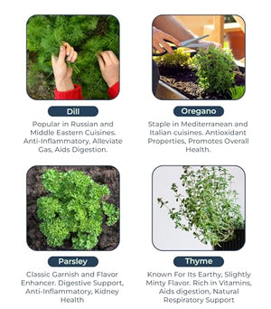 Organic Herb Seeds for Planting, Indoor Outdoor and Hydroponic Garden, incl Basil Cilantro Mint and Dill Seeds, Non GMO and USDA Certified Organic, Gardening Variety Pack