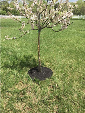 Rocky Mountain Tree Mulch Ring Weed Preventer - Recycled Heavy Duty Rubber - Mower Safe - No landscape staples needed - Natural look - Equal water seepage to tree - Easy install (4, 24-inch)