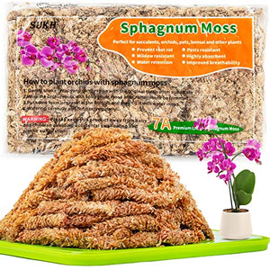 Sukh 5oz Sphagnum Peat Moss for Plants - Natural Premium Long Fibered Chile Dried Moss Potting Mix for Orchids Succulent Carnivorous Potted Plant Reptiles Medium Sarracenia