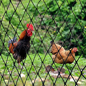 Bird Netting - 50’ x 50’ Poultry Netting with 2.4” Square Mesh for Chicken Coop, Bird Netting for Garden Protection, Heavy Duty Nylon Garden Mesh Netting for Fruit Tree Against Aviary, Deer, Squirrel