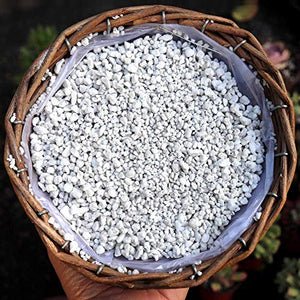 THE VALLEY GARDEN Organic Perlite for All Plants, All Natural Horticultural Soil Additive Conditioner Mix, Improve Drainage and Ventilation, Help Root Growth (2 Quarts)