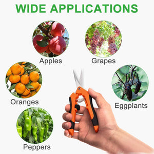 GROWNEER 3 Packs 6.5 Inch Pruning Shears Gardening Hand Pruning Snips Gardening Scissors with Straight Stainless Steel Precision Blades