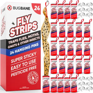 24 Fly Strips Indoor Sticky Hanging with Pins. Fly Paper Strips Hanging Fly Tape for Indoors and Outdoor. Fly Catcher Fly Ribbon Sticky Fly Traps for Indoors Flypaper. Fruit Gnat Traps