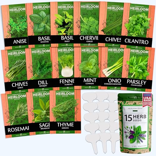 15 Culinary Herb Seeds - Heirloom & Non GMO - High Germination Rate - Seeds for Planting Indoor Hydroponic or Outdoor Herbs Garden | Gardening Gift Men Women Gardeners - Basil, Cilantro, Mint