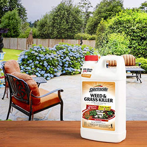 Spectracide Weed & Grass Killer Concentrate, Use On Driveways, Walkways and Around Trees & Flower Beds, 64 fl Ounce