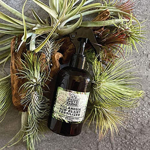 Cute Farms Tillandsia Air Plant Fertilizer | Gentle Weekly Use Formula Plant Food with Care Guide | Formulated Nutrients (8 oz. Spray Bottle)