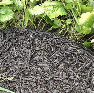 Rocky Mountain Tree Mulch Ring Weed Preventer - Recycled Heavy Duty Rubber - Mower Safe - No landscape staples needed - Natural look - Equal water seepage to tree - Easy install (4, 24-inch)