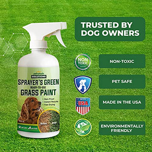 PetraTools Green Grass Paint for Lawn, Ready-To-Use Green Grass Lawn Spray & Dog Spot Repair, Lawn Paint, Spray on Grass, Green Lawn Spray, Green Grass Spray Paint for Lawn Yellow & Urine Spots, 16 Oz