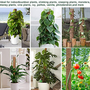 Moss Pole 47.5 Inch, 4 Pack Moss Poles for Climbing Plants, Monstera Coir Totem Pole, 16 Inch Moss Sticks for Indoor Plant Support, Train Pothos Creepers Potted Plants Grow Upwards, with Garden Ties