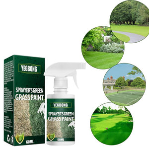 Green Grasses Paint for Lawn,Sprayers Green Grasses Paint,Lawn Dyes,Readys to Use Green Grasses Lawn Spray for Restoring Damageds Lawns