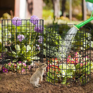 Keten 5 Pack Plant Protector from Animals, 15pcs Metal Mesh to Keep Animals Out, 13.7'' Dia x 13.7'' H Plant Cages, Garden Protection Bunny Barricades from Chicken Squirrels for Flowers & Vegetables…