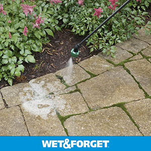Wet & Forget Moss, Mold, Mildew, & Algae Stain Remover Multi-Surface Outdoor Cleaner Concentrate, Original, 64 Fluid Ounces