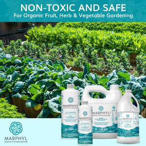 MARPHYL Organic Liquid Hydroponics Fertilizer - Liquid Plant Food - All-Purpose, Nutrient-Rich Lawn Fertilizer & Soil Enhancer for House Plants, Flowers, Vegetables Succulents Bamboo