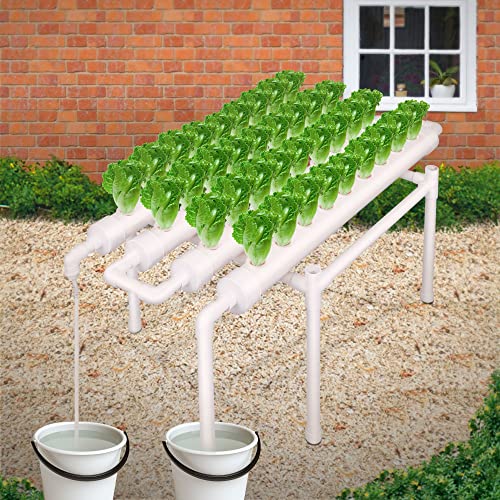 Ryan Hydroponic Grow Kit 1 Layers 36 Holes Plant Sites,Hydroponic Planting Equipment, Hydroponics Growing System, Vegetable Tool Grow Kit Includes Water Tube, Timer