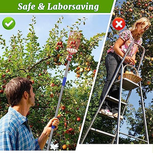 Fruit Picker Pole with Basket Long Handle, 8FT Adjustable Fruit Catcher Tool for Apple Mango Pear Orange Avocado Lemon Citrus Tree Picker