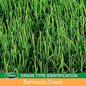 Scotts EZ Seed Patch and Repair Tall Fescue Lawns, 3.75 lb. - Combination Mulch, Seed, and Fertilizer - Tackifier Reduces Seed Wash-Away - Mix Covers up to 85 sq. ft.
