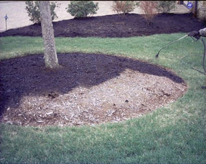 EnviroColor BF0032 851612002018 2,400 Sq. Ft. Black Forest Mulch Color Concentrate, 1 Quarts (Pack of 1)