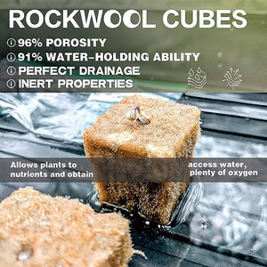 CastleGreens Rock Wool Planting Cubes, Rockwool Cubes 1 inch, Rockwool Cubes for Hydroponics, Great for Rooting, Cuttings, Cloning Plants, Seed Germination (4 Sheets, 200 Cubes Total)