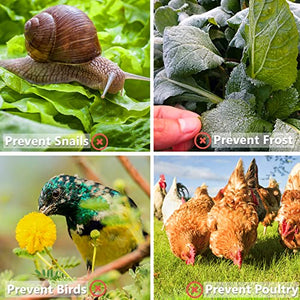【12 Pieces】 Garden Cloches for Plants, Multifunctional Plant Covers Plant Protectors Transparent Bell Jar Cloches to Protect Plants from Birds, Slugs, Frost, Freeze Weather, 7.8" D x 9.4" H, Green